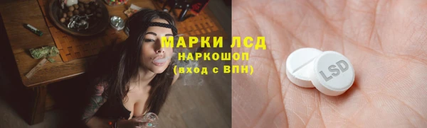 гашик Алзамай